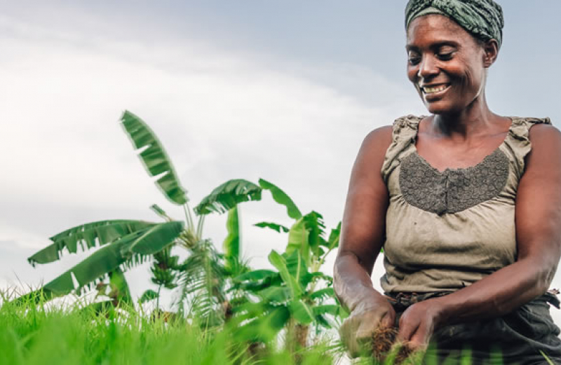 « La Francophonie avec Elles » : Un levier puissant pour l’autonomisation des femmes francophones