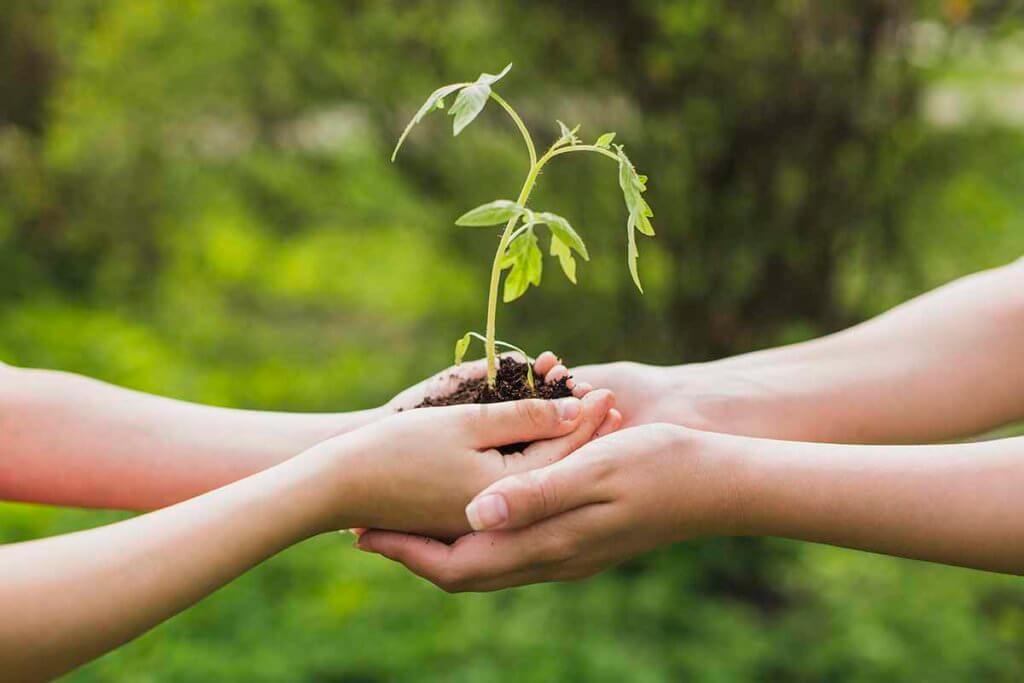 Les femmes et l'écologie : Une affinité naturelle ?