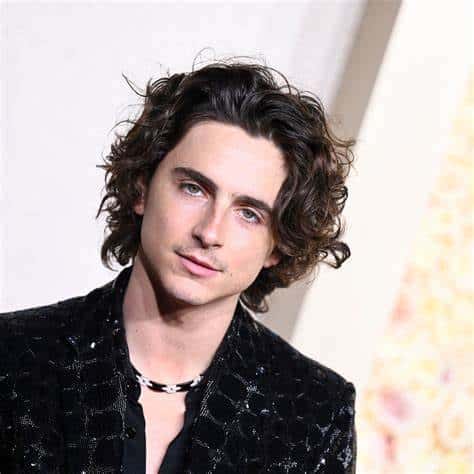 BOBEA STARS : Timothée Chalamet : l'acteur français conquiert Hollywood et devient le nouveau visage de Dior