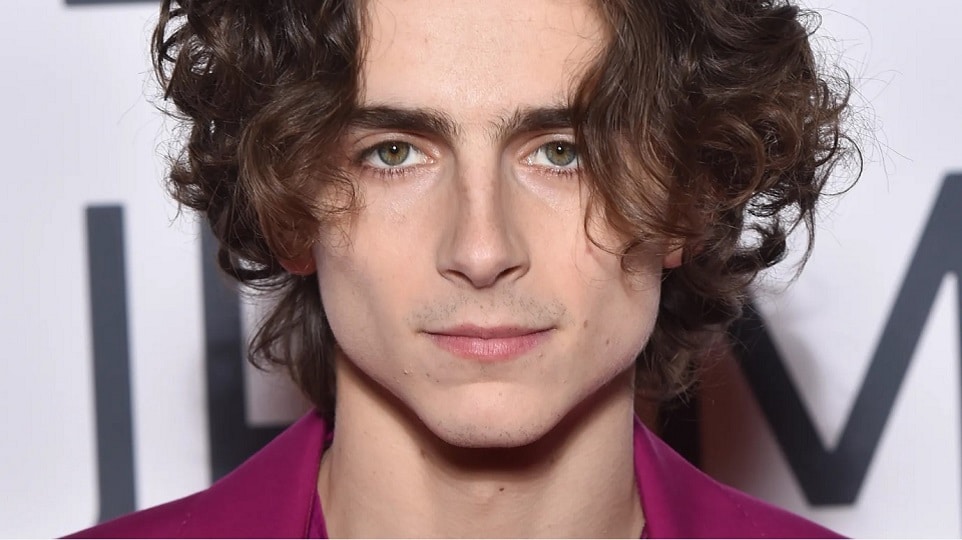 BOBEA CINÉMA - Timothée Chalamet enflamme la toile avec son retour dans DuneLe jeune acteur confirme sa participation à la suite très attendue