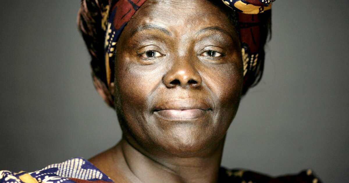 BOBEA HISTOIRE - Wangari Maathai : la première femme africaine à recevoir le Prix Nobel de la Paix Une pionnière pour l'environnement et les droits des femmes