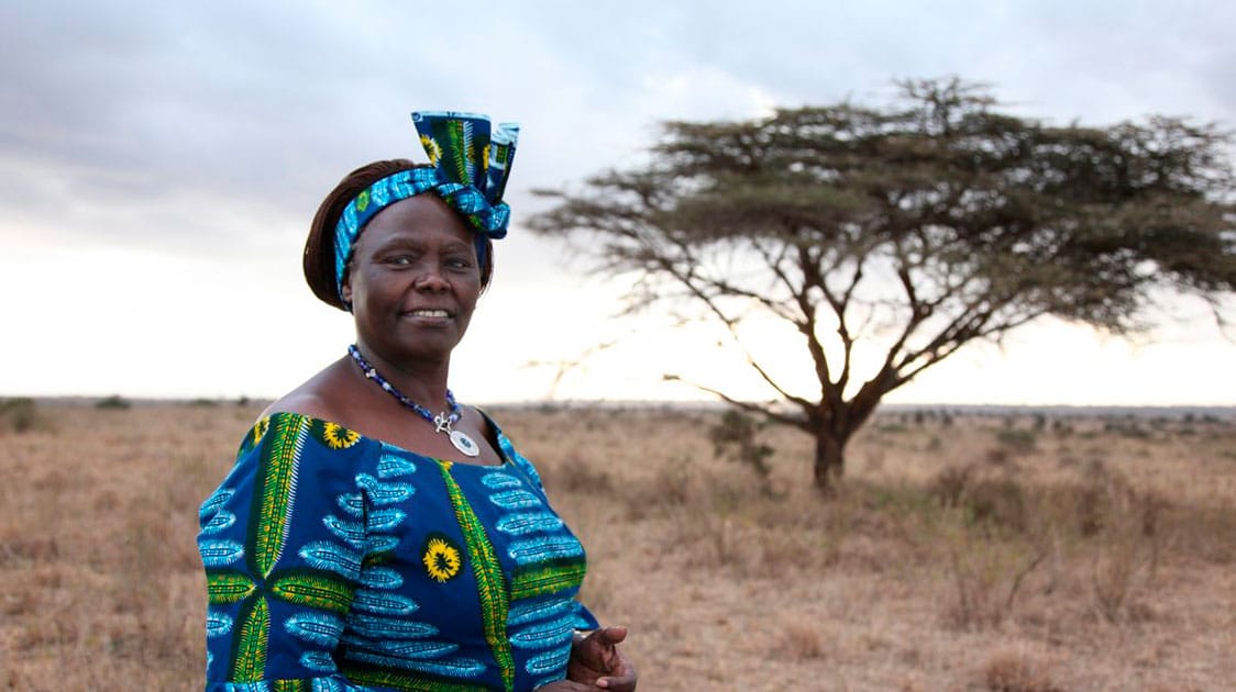 Who is Who pour BOBEA GLORIA: Wangari Maathai